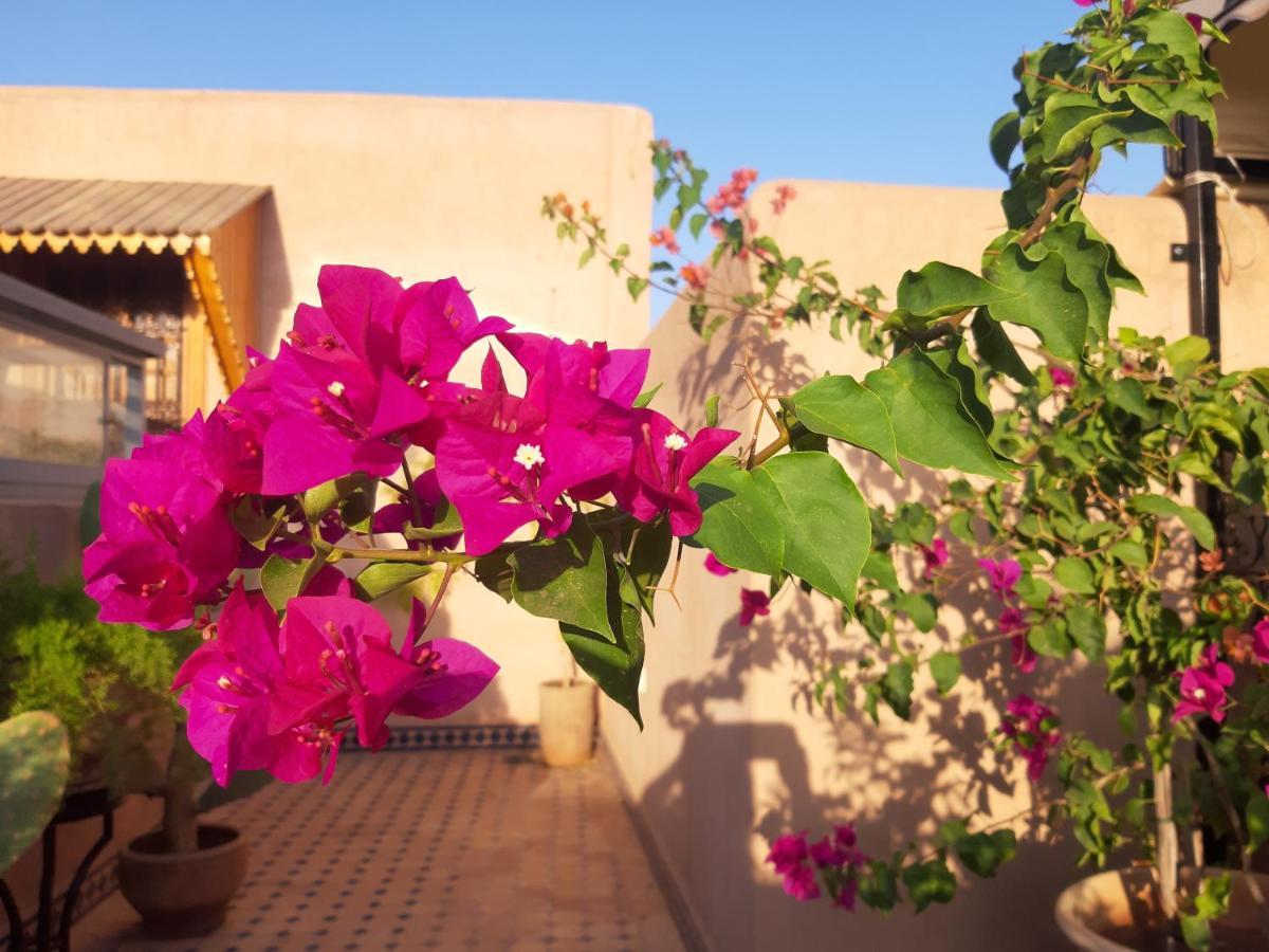 Riad Miral Марракеш Экстерьер фото