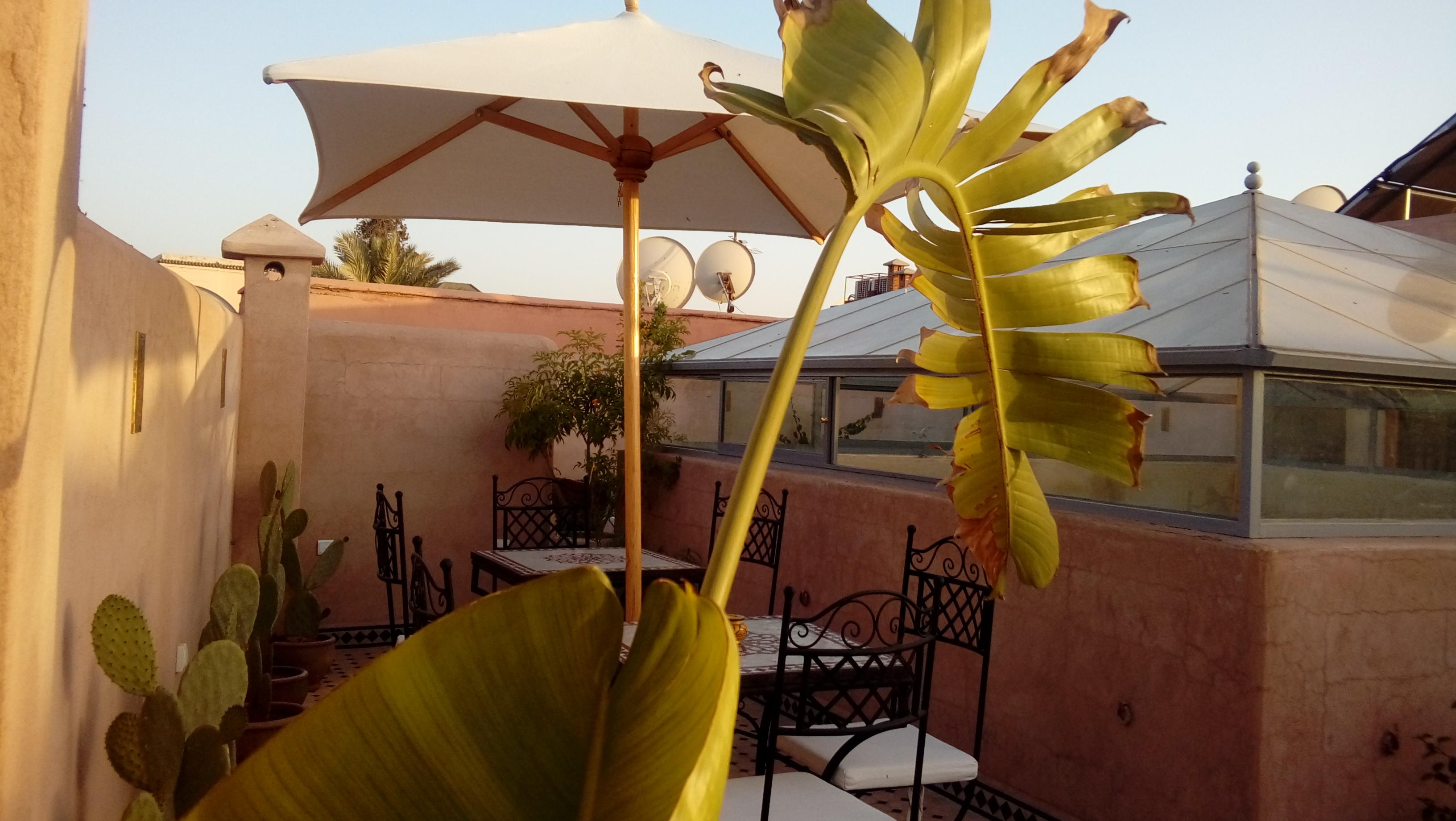 Riad Miral Марракеш Экстерьер фото